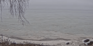 Calumet Webcam - Parks Harbor - Hilbert Wisconsin | Live Video