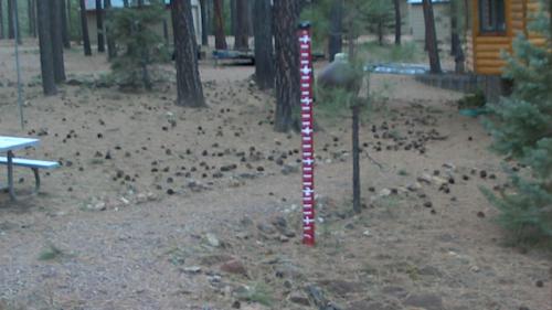 Forest Lakes AZ Webcam​ – Live Real Time Video
