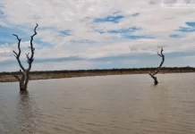 Etosha Heights Safarihoek Lodge