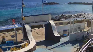 Live Webcam Lanzarote - Tenerife