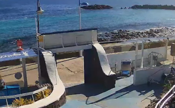 Live Webcam Lanzarote - Tenerife