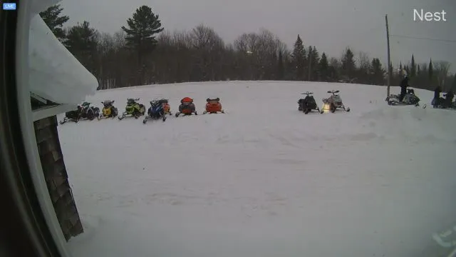 Mosquito Inn Live Webcam