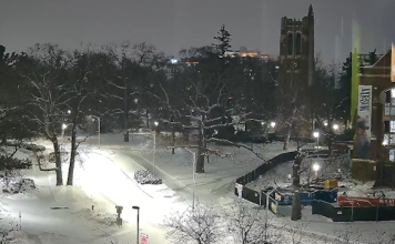 Michigan State Webcam