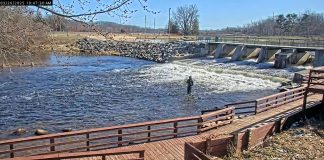 Fremont, Michigan Live Webcam