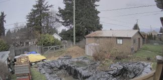 Live Weather Webcam - Port Alberni, Bc, Canada