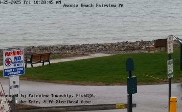 Avonia Beach Webcam - Fairview, Pennsylvania