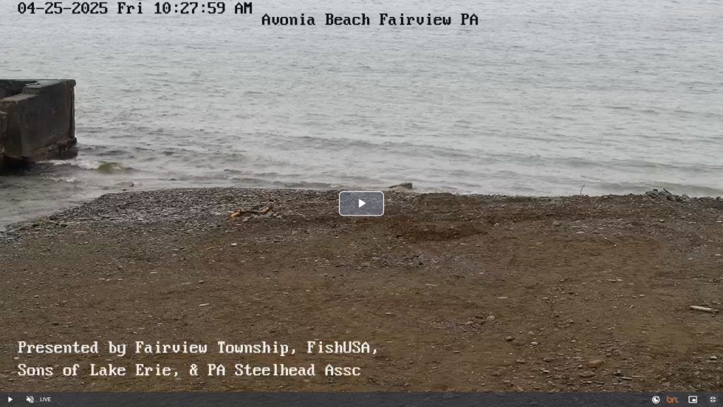Avonia Beach Webcam - Fairview, Pennsylvania