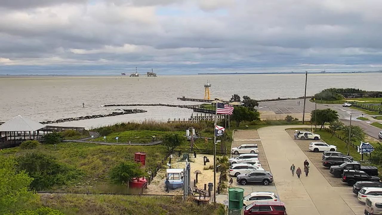Live Webcam Dauphin Island Sea Lab – Alabama