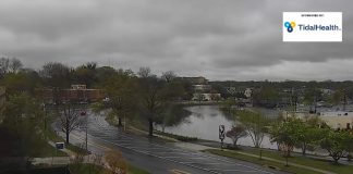 Live Webcam Downtown Salisbury, Maryland