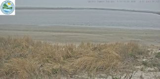 Mispillion River Live Webcam - Milford, Delaware