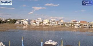 Sharky's Live Webcam - Ocean Isle Beach, Nc, Usa