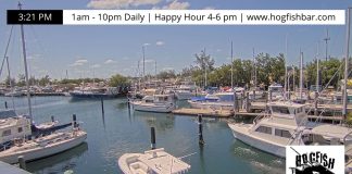 Stock Island Webcam - Hogfish Bar & Grill