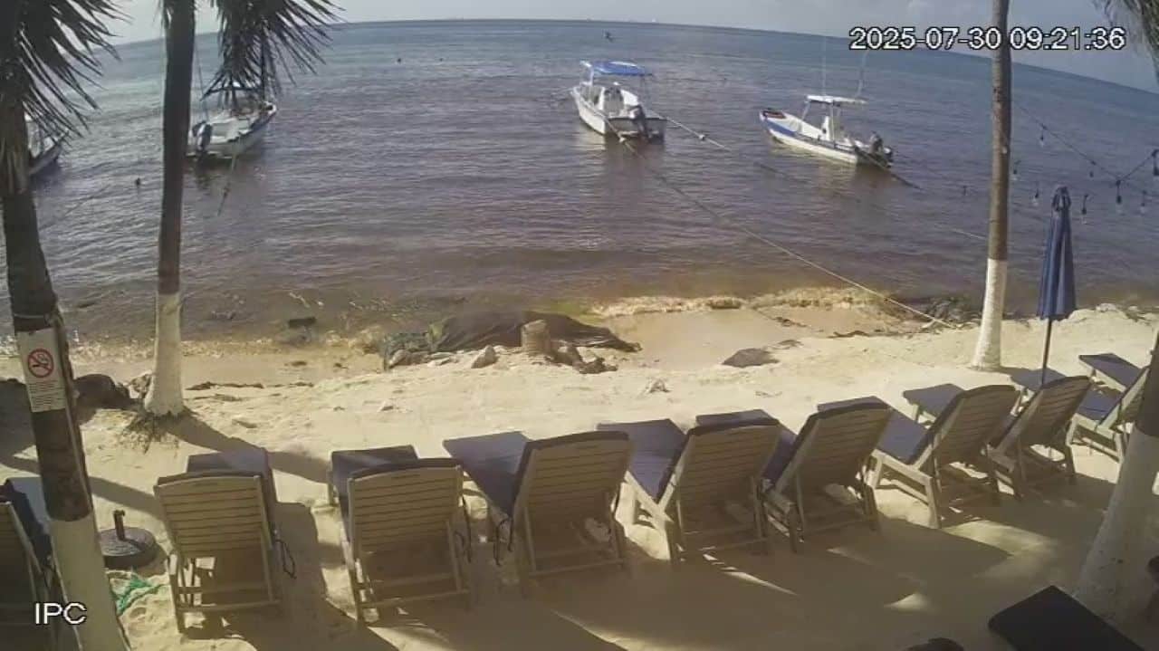 Live Webcam Playa Palms Beach Hotel – Playa Del Carmen