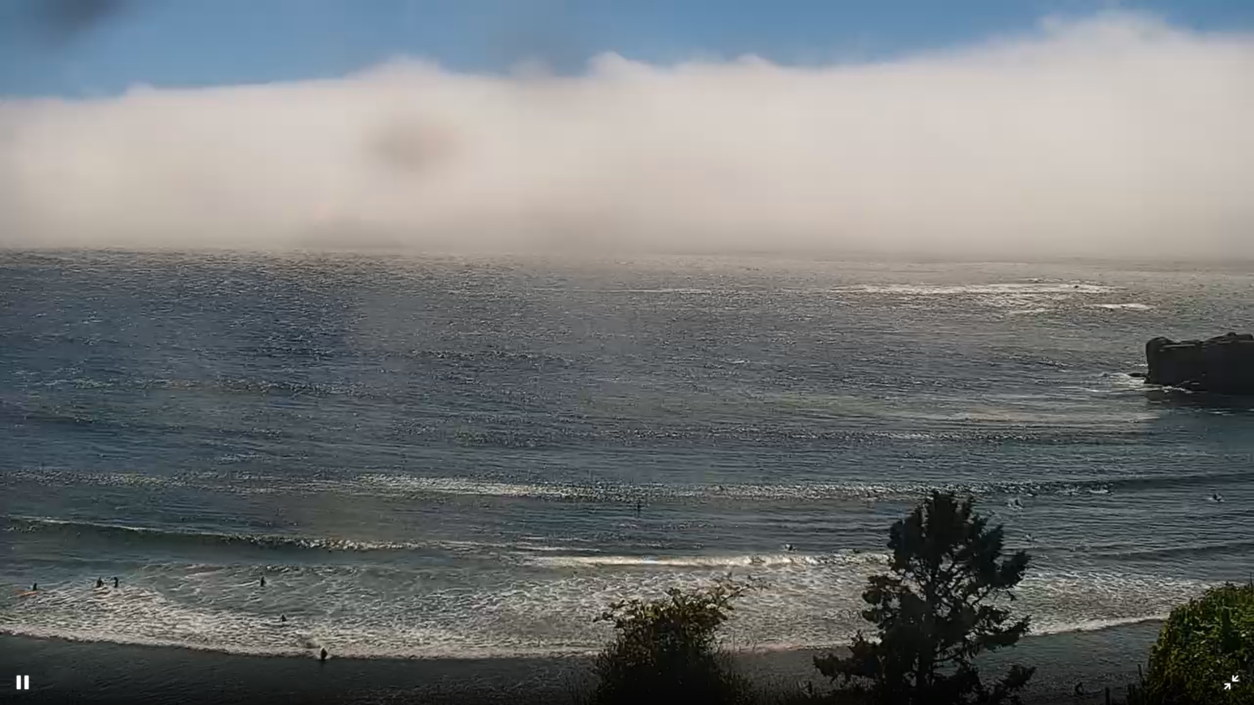 Otter Rock Webcam – Newport, Oregon, USA