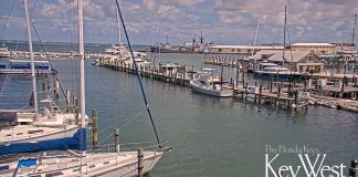 Bight Marina Webcam - Key West, Florida