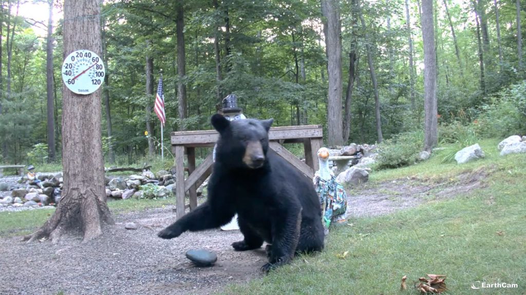 Live Webcam Gaylord, Otsego County, Mi - Snowman