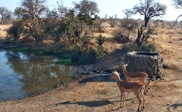Live Webcam Naledi Dam - Limpopo, south Africa