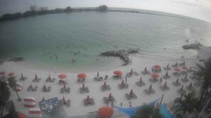 Live Webcam Winter The Dolphin Beach Club