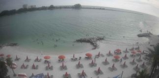 Live Webcam Winter The Dolphin Beach Club