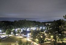 Downtown Cary Park Live Webcam - Nc, Usa