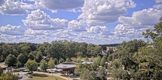 Downtown Cary Park Live Webcam - Nc, Usa