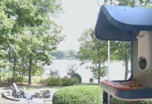 Lake Keowee Webcam - Upstate, South Carolina