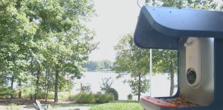 Lake Keowee Webcam - Upstate, South Carolina
