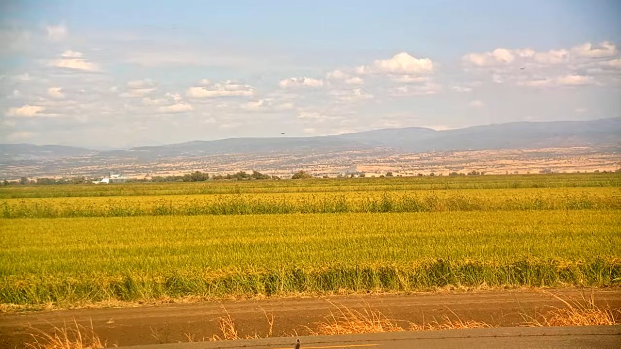 Nelson, CA – Western Canal Water District