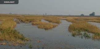 Sacramento National Wildlife Refuge Live Webcam