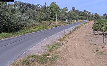 Sebastopol, Ca Live Webcam - Green Valley Rd