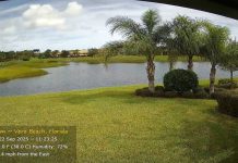 Vero Beach, Florida Live Gator Webcam - Treasure Coast