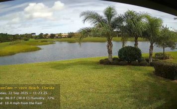 Vero Beach, Florida Live Gator Webcam - Treasure Coast