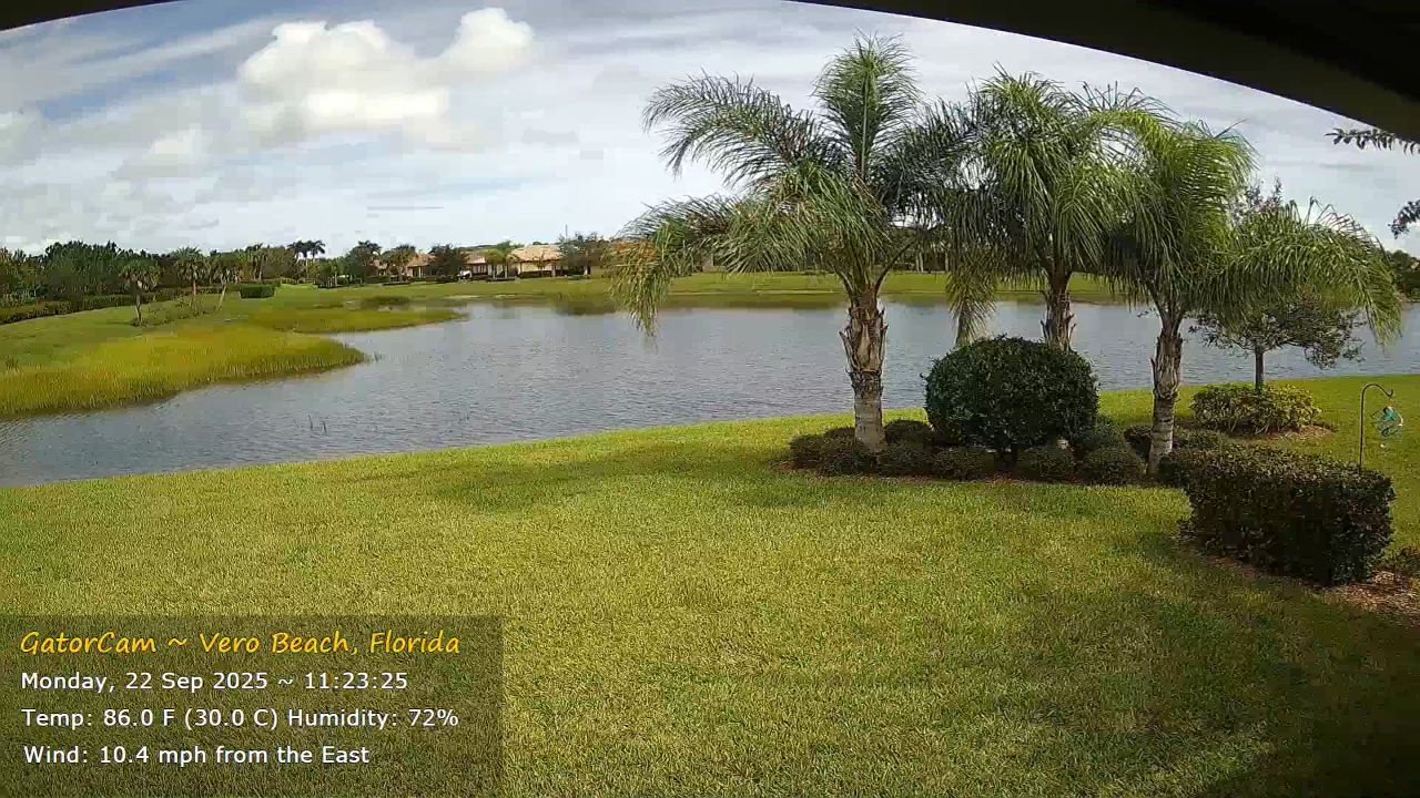 Vero Beach, Florida Live Gator Webcam – Treasure Coast