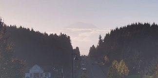 Mt Rainier Webcam - Post & Pour - Bonney Lake, Wa