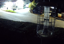 Live Webcam Woodbury Village - Exeter, East devon, England