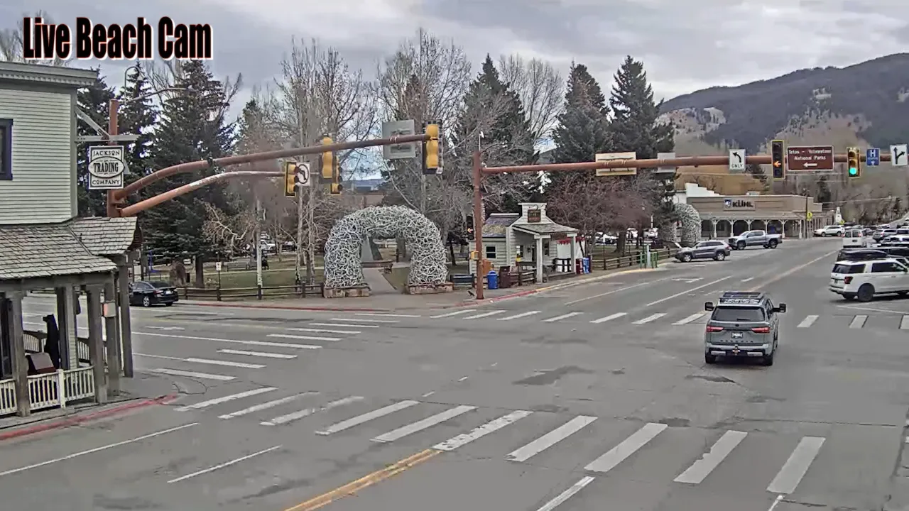 Live Webcam Buddy Pizza – Jackson Hole, Wyoming