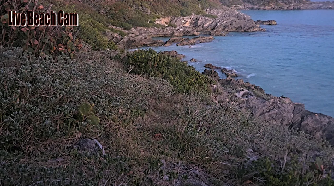 Live Webcam Great Sound in Bermuda