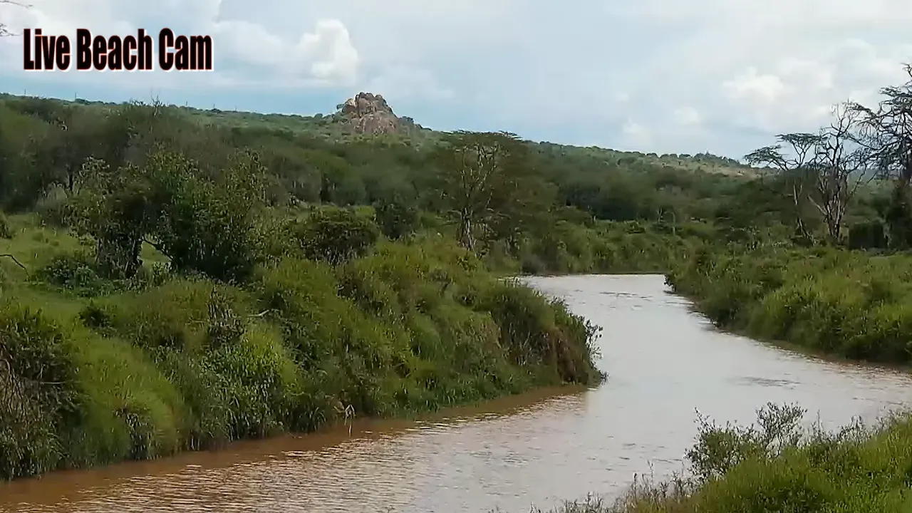 Live Webcam Mpala Research Centre – Laikipia County, Kenya